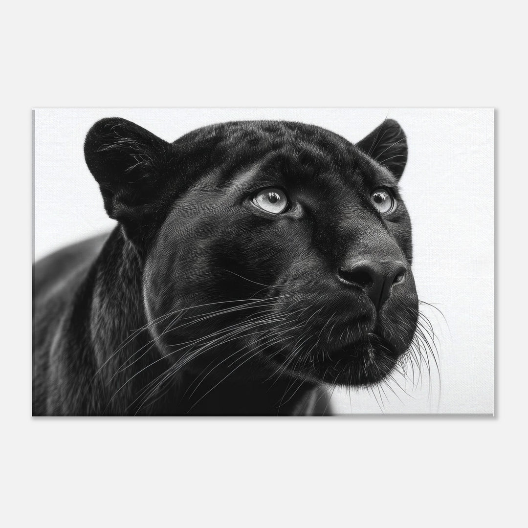 212b6f09-b43e-46ef-b8b6-18742eff6a2d