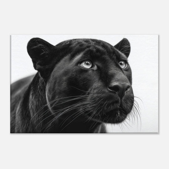 212b6f09-b43e-46ef-b8b6-18742eff6a2d