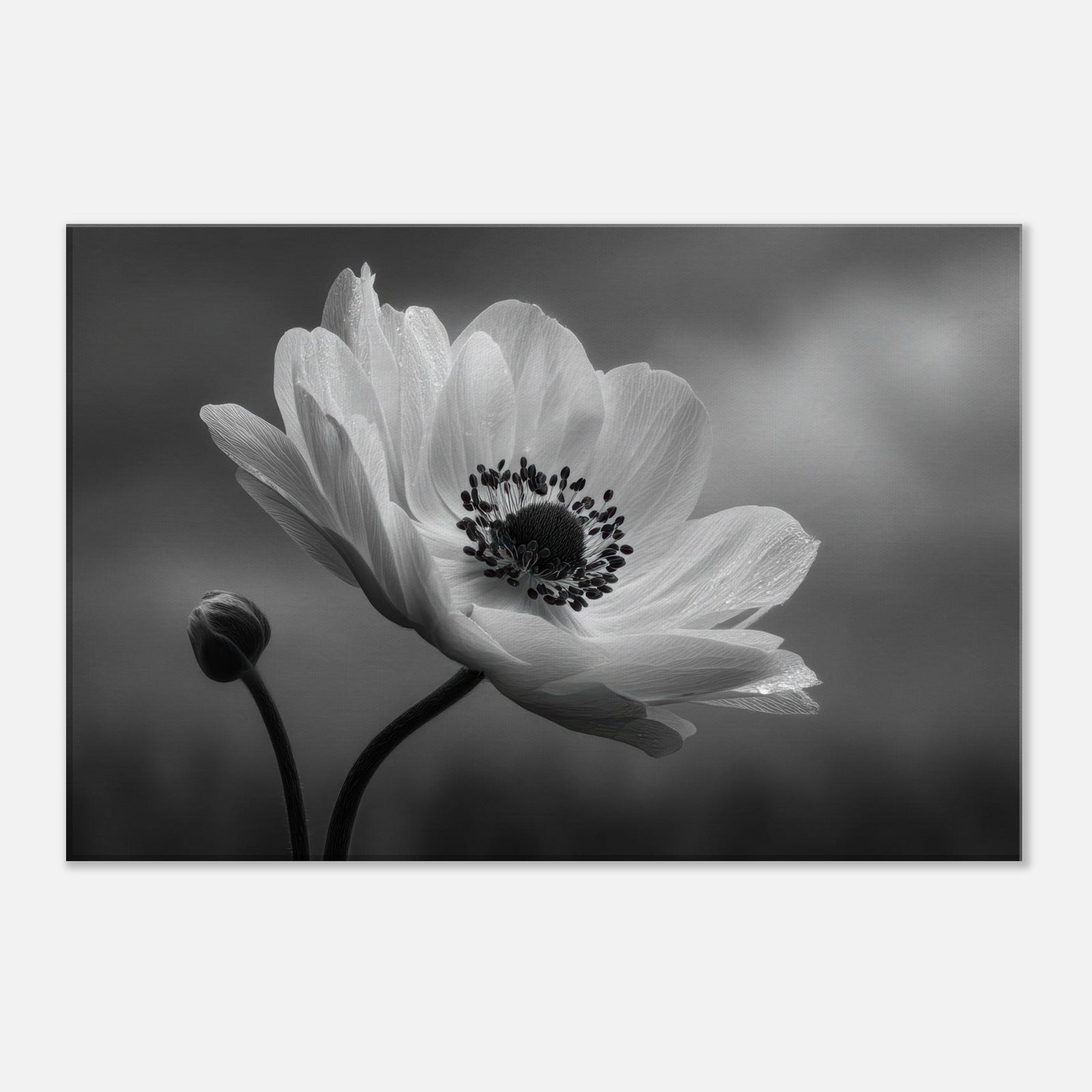 21354276-f8f9-42bd-a41d-1b89c7a8253d