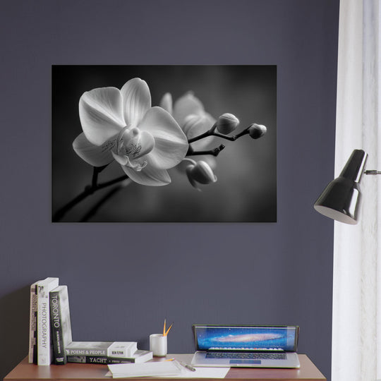 214d31e7-9b12-4964-bbfa-b3ff79b6ea19