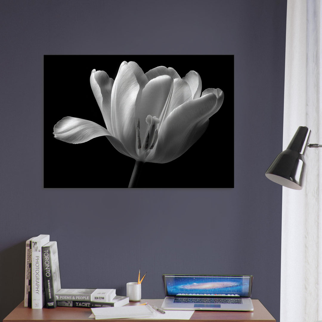 21b7ea5e-e19a-40ee-8edf-3f0713c1c88e