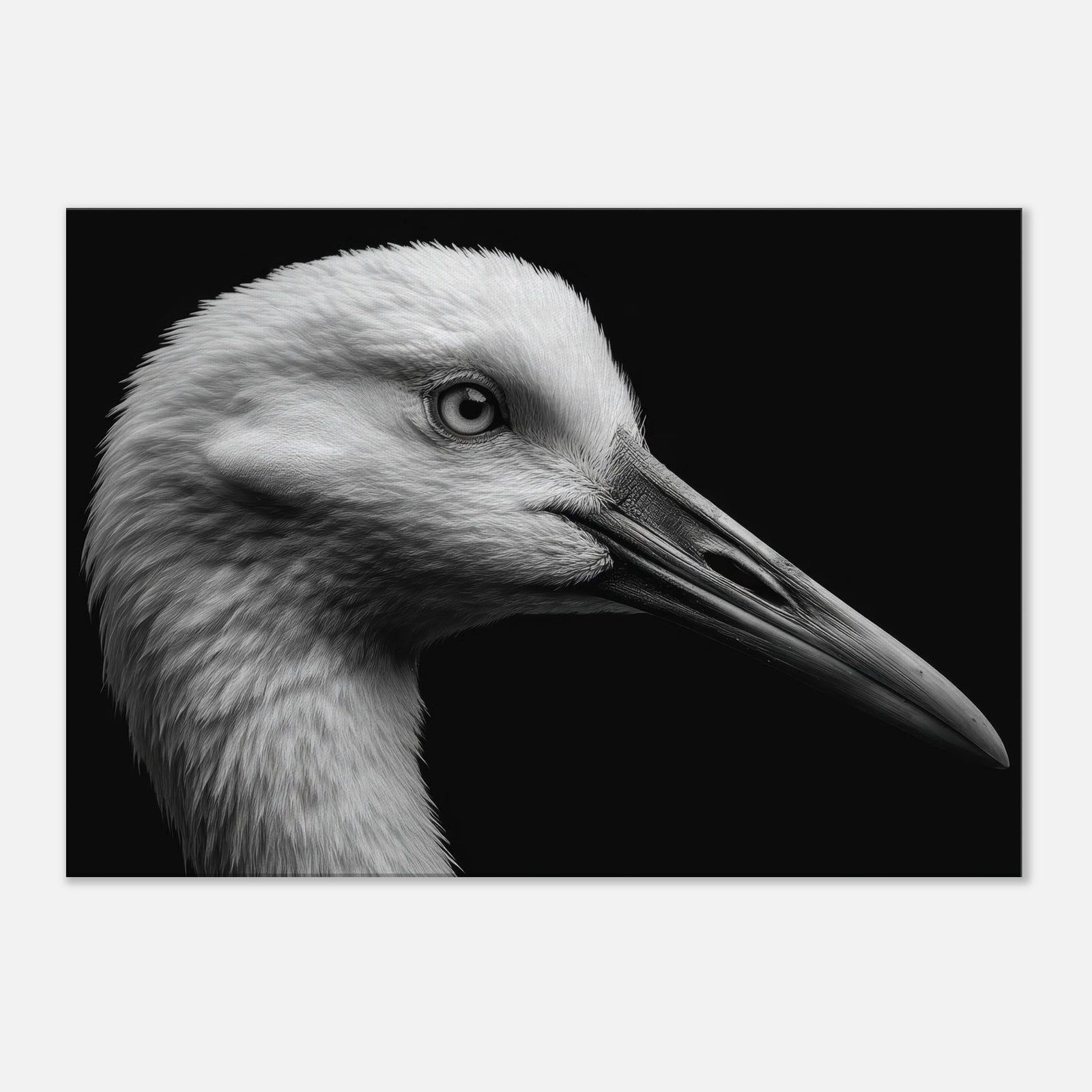 224148ac-7e97-4f96-b8d3-86ca7b3269f0