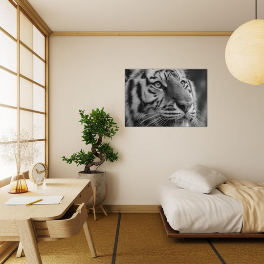 22477184-b89e-4c35-b1df-dc176dbab53f