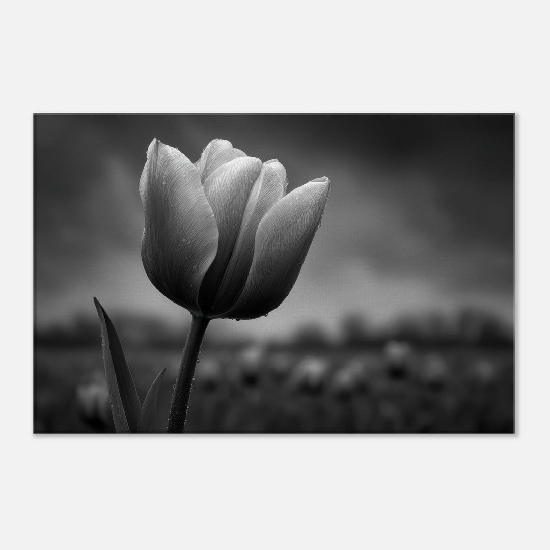 224c071d-62c6-4406-ac96-b90566f3e9ac