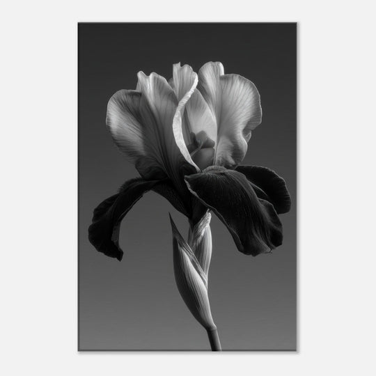 237b1112-7cf6-49af-a1ef-b406e8afc857