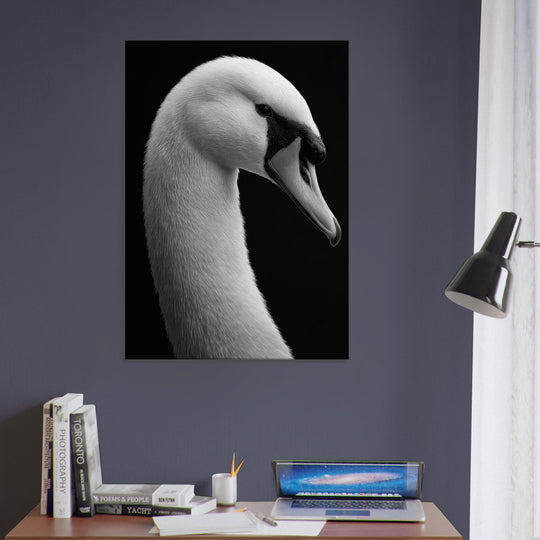 23941d85-2e8e-476d-904a-db9295c509d3