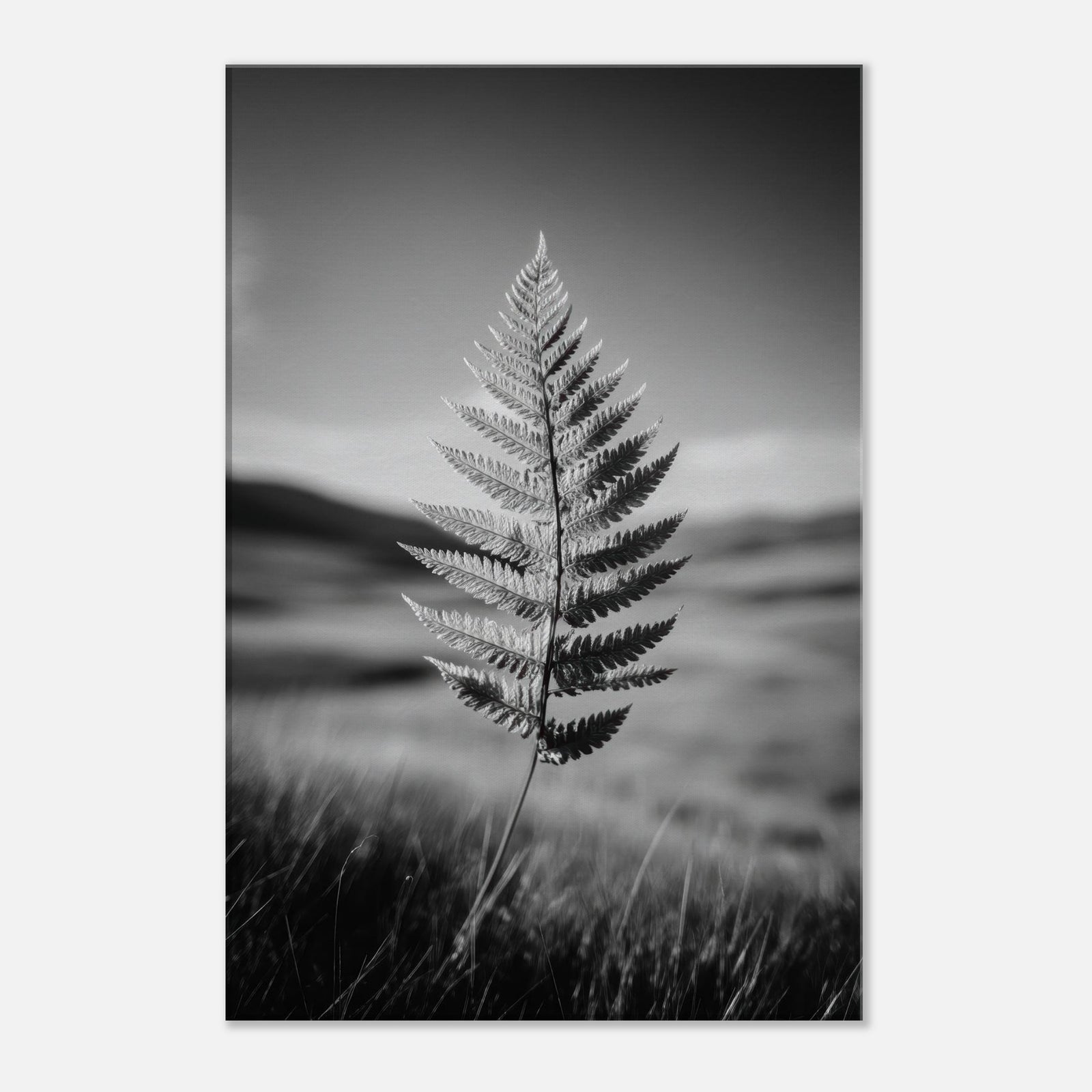 239bc1b2-ee3a-484e-bcc7-017ffcb79958