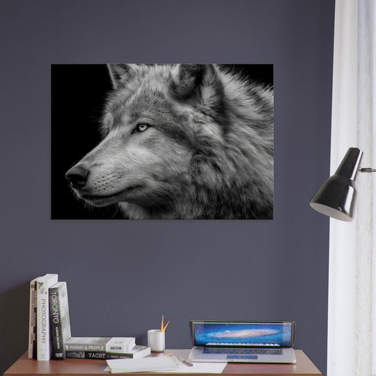 24474b46-aacc-4336-807e-23c96bef5eee