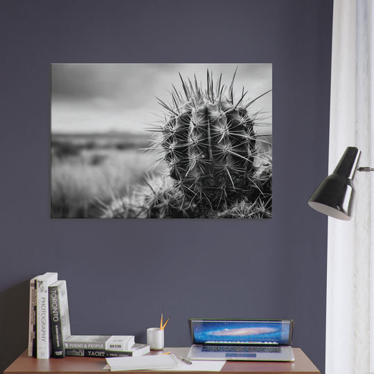 24965c3d-3d3c-4bf3-be50-e4cef8e02db4