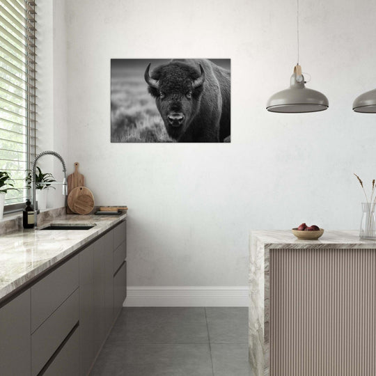 251329d3-729e-45e6-bbc9-d950074249c3