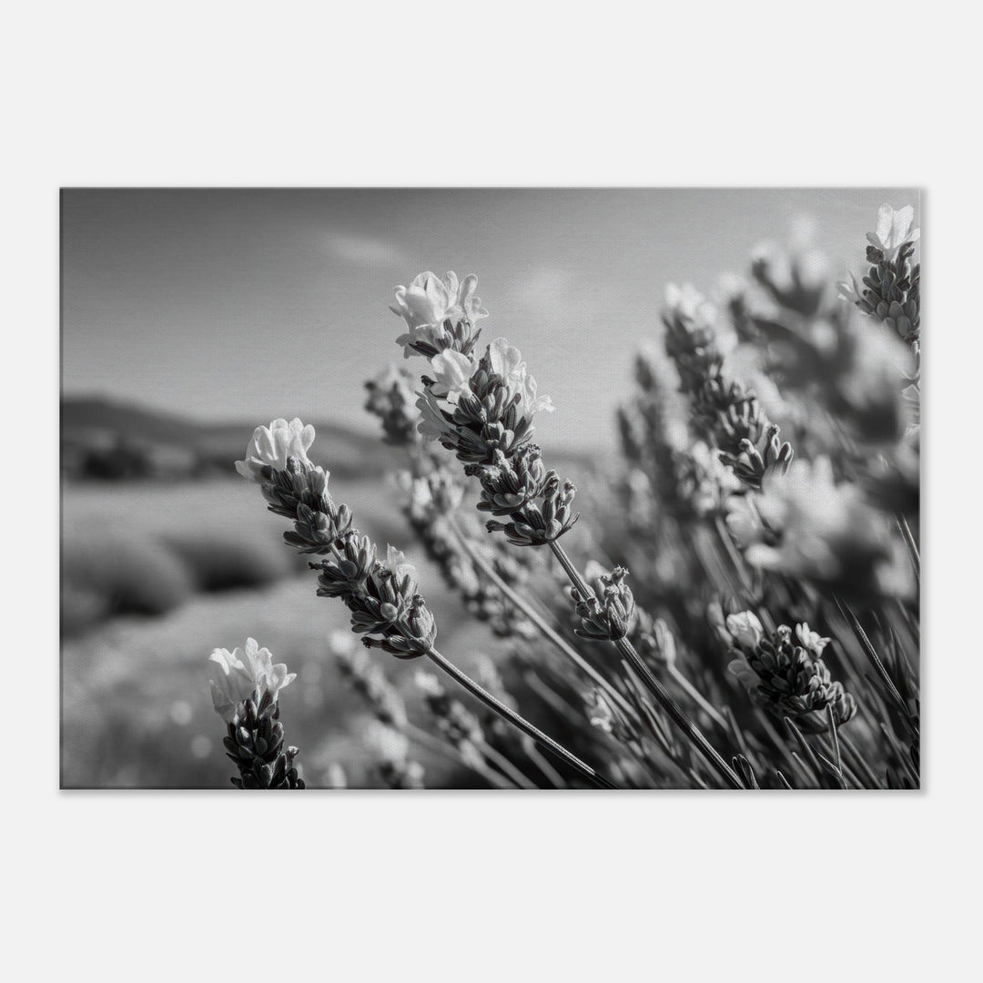 2574f536-4cdf-4b08-ae58-f84a02852bdd