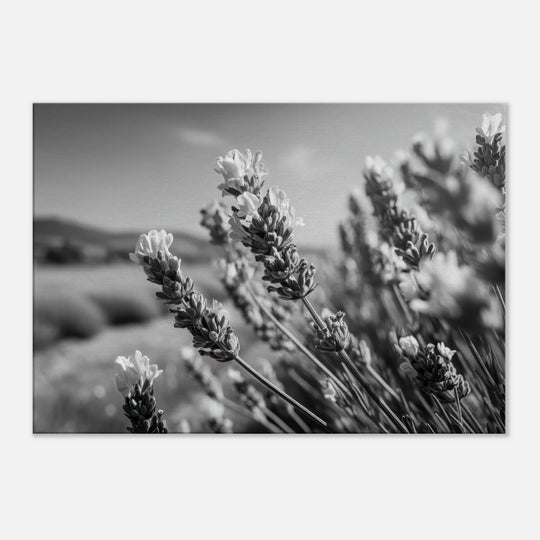 2574f536-4cdf-4b08-ae58-f84a02852bdd