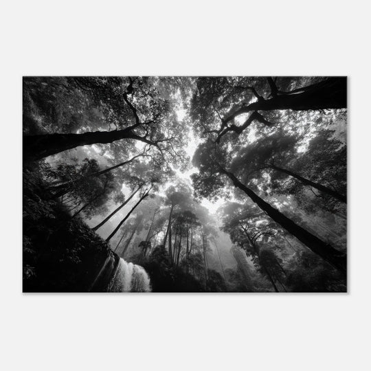 259bcbbc-dd4f-41f6-9ed7-09f7d86b333d