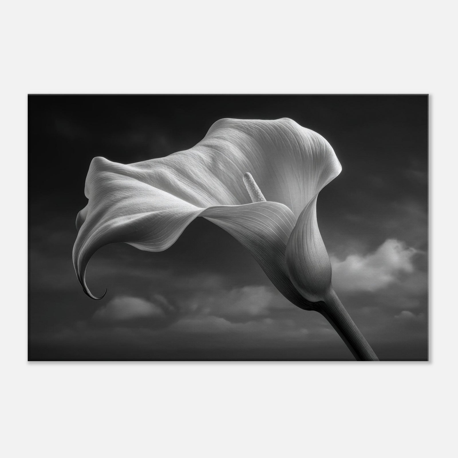 26c8abee-bd90-448f-b50d-803935589d3c