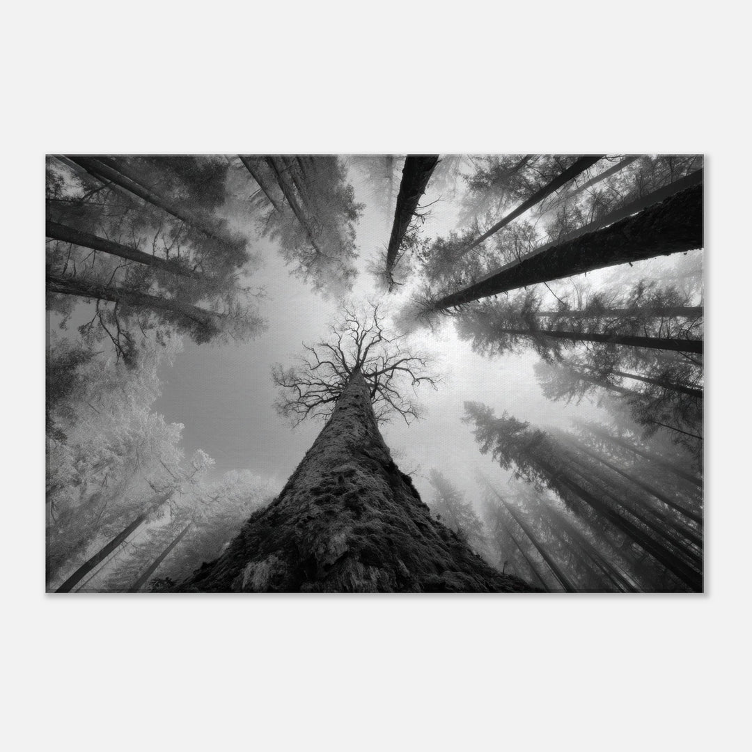 2790a348-c280-4bfb-b12c-bc85dc72c8ac