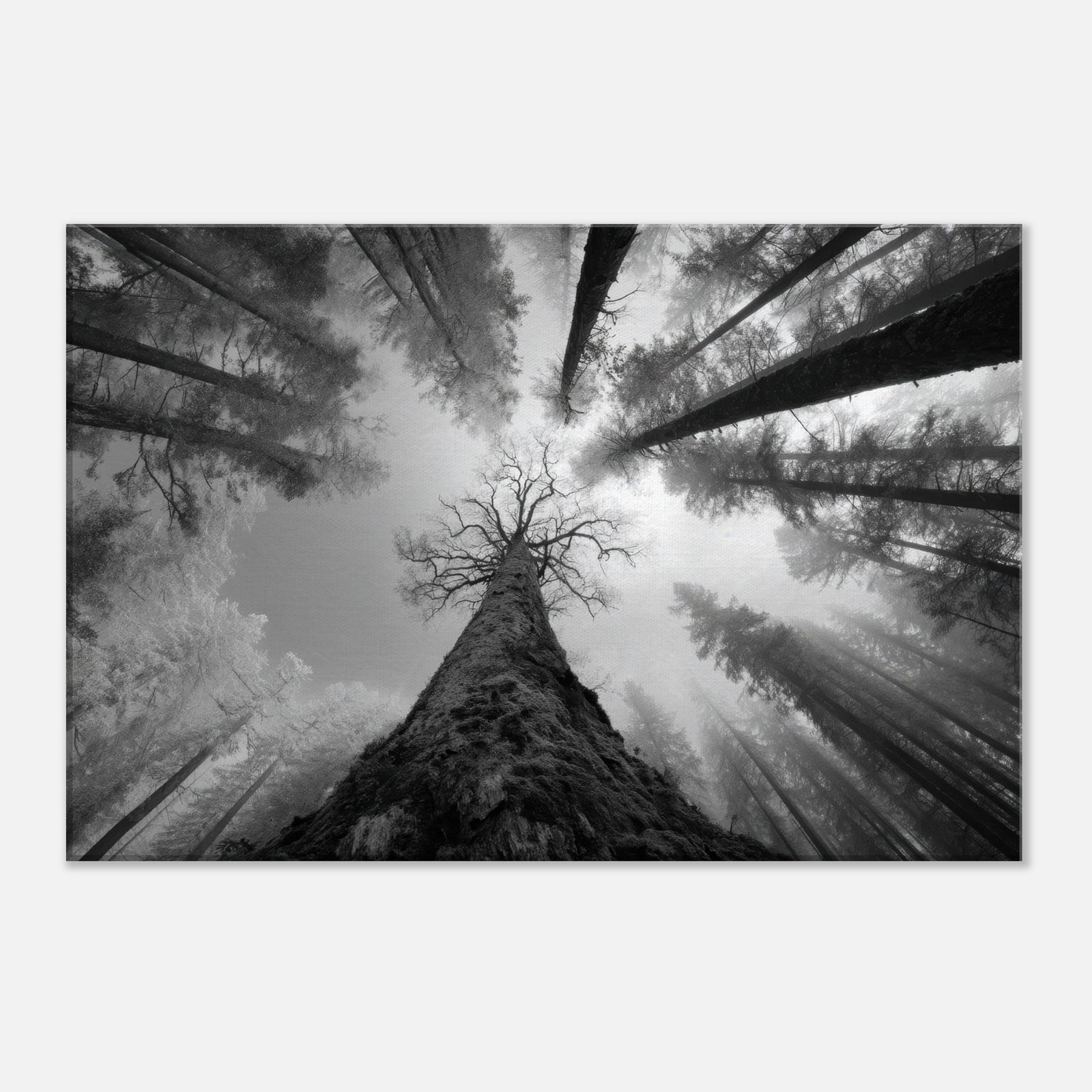 2790a348-c280-4bfb-b12c-bc85dc72c8ac