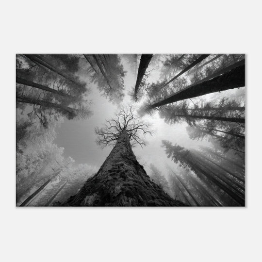 2790a348-c280-4bfb-b12c-bc85dc72c8ac