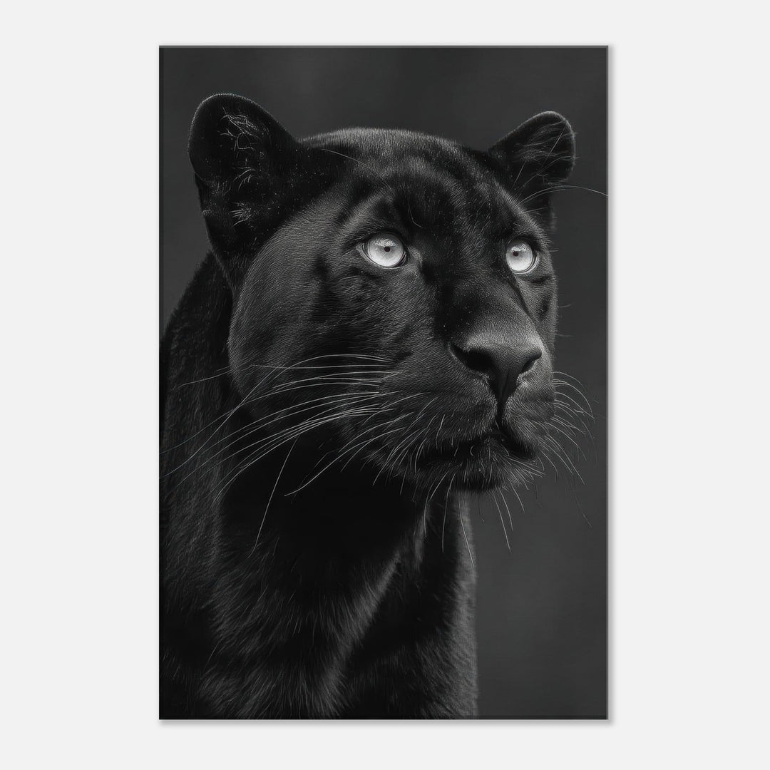 2823011f-29a9-46cb-92f5-15b89377e153