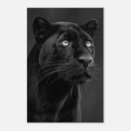 2823011f-29a9-46cb-92f5-15b89377e153