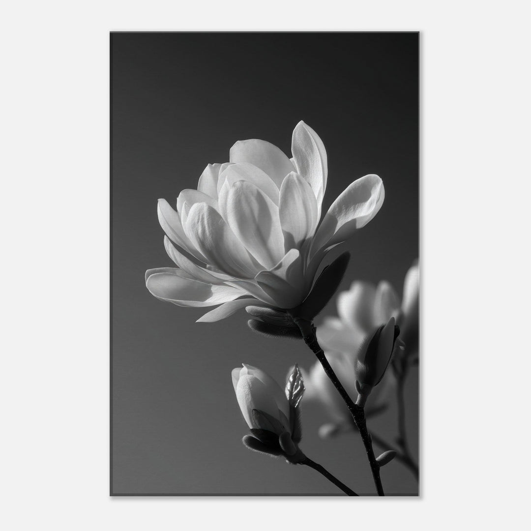 2857e48c-214a-40bd-b210-8901751a3fef