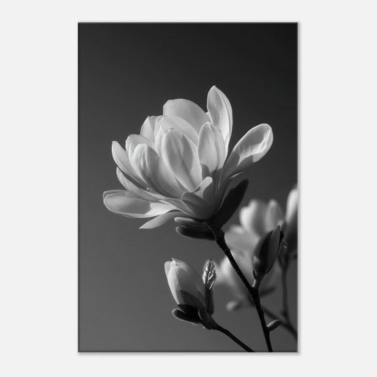 2857e48c-214a-40bd-b210-8901751a3fef