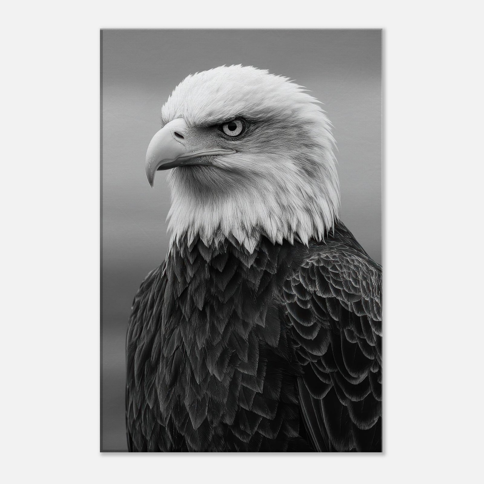 2860a967-b473-4d2c-bd75-ab3e3bbaa052