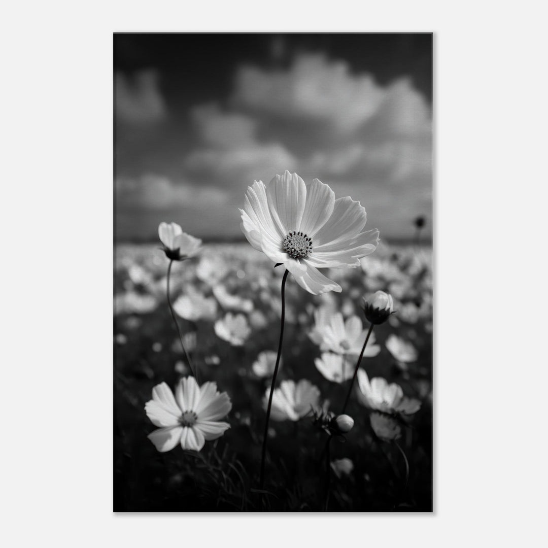 29406285-03e0-49e8-9c55-b7c540766a84