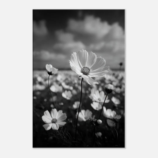 29406285-03e0-49e8-9c55-b7c540766a84