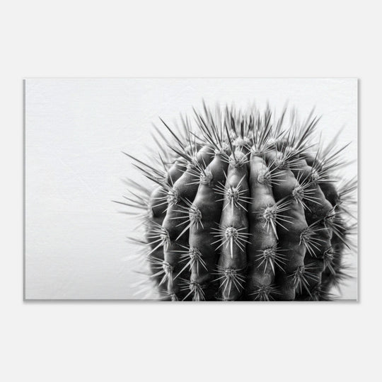 296bc03c-11a2-424e-beb6-9f8a6a551a61