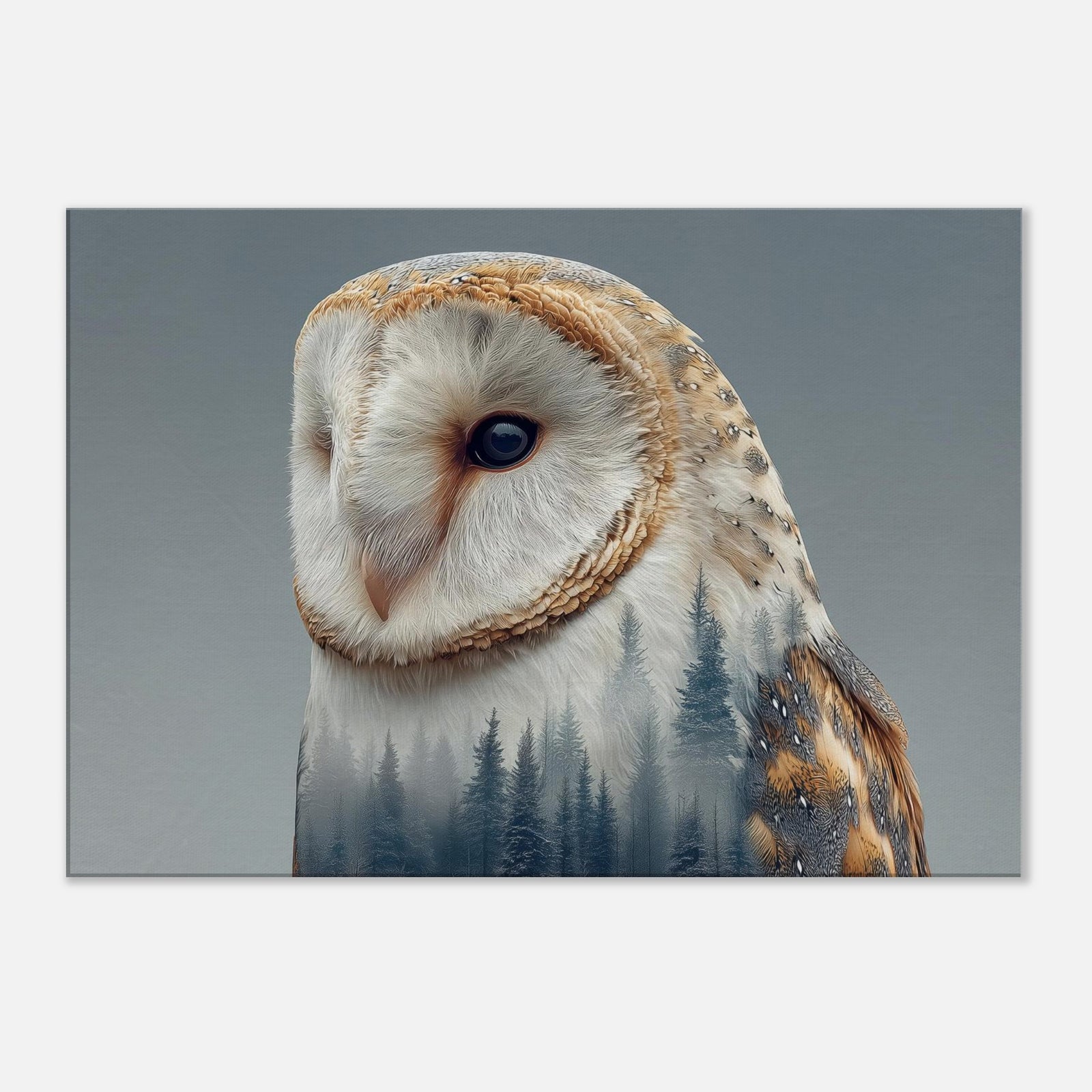 29804f95-9a9e-4011-a0e7-990445f65cb3