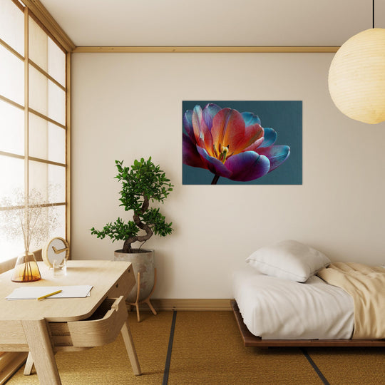 29ab92b1-bb93-49fd-9a24-064a82c4b1dc