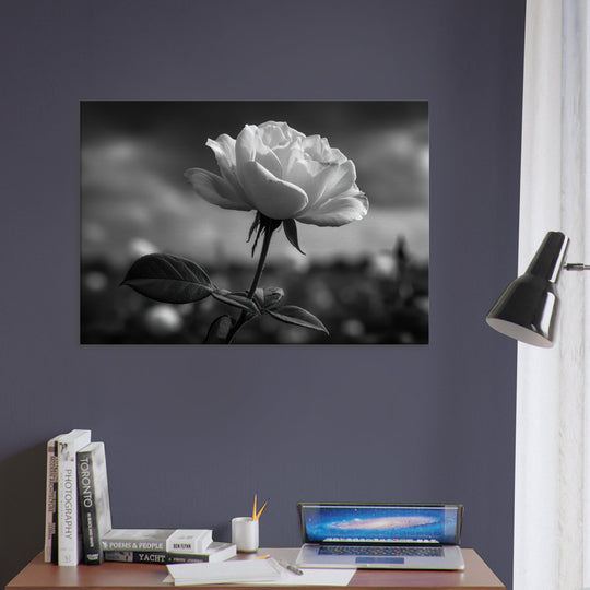 29e256bf-0d00-44ff-b90a-4e69cdbe0966