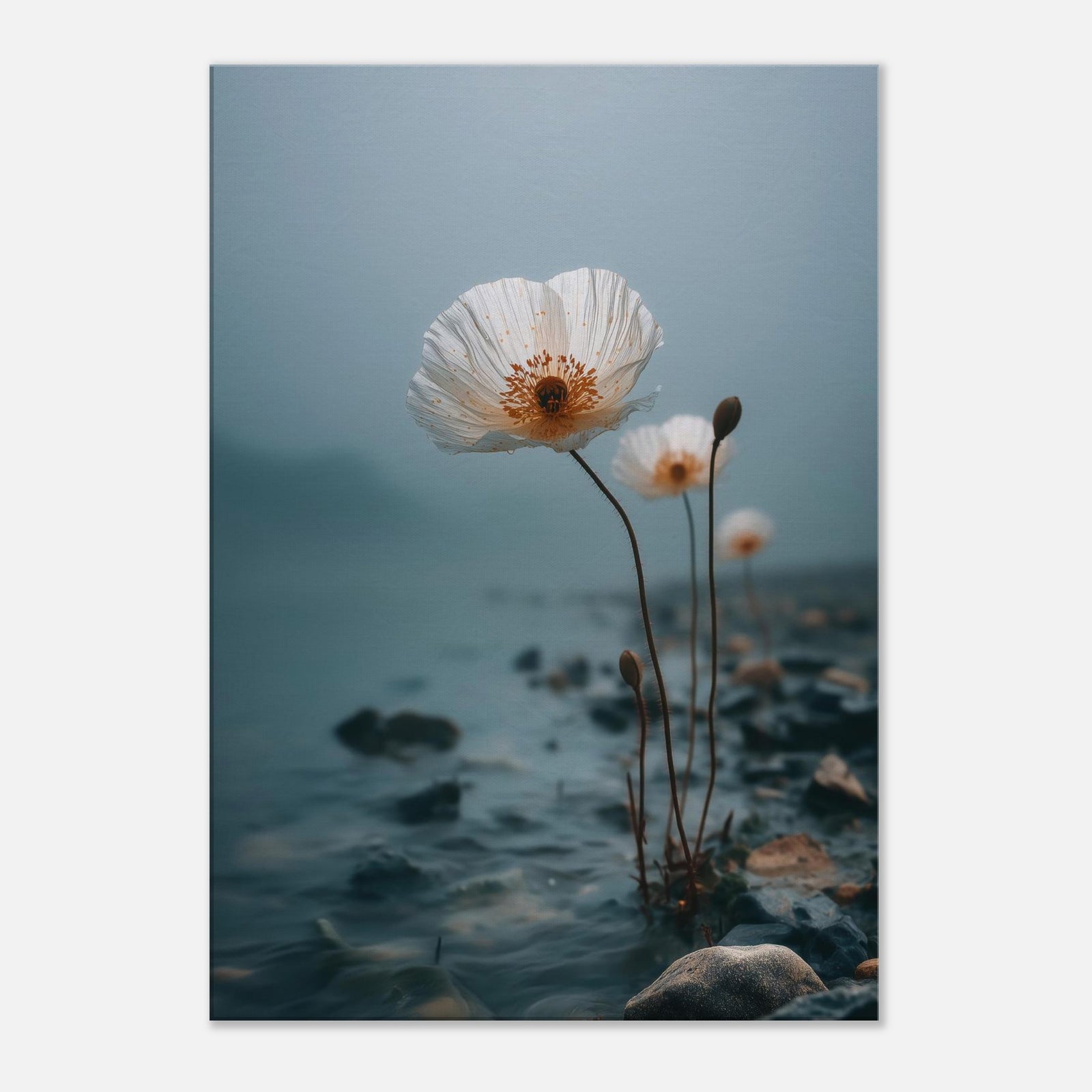 29ea3a71-2f87-4ed5-9600-9e94c14afd52