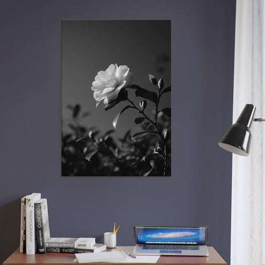 2a2cbd3a-2542-4e71-850d-e201e8f8dada