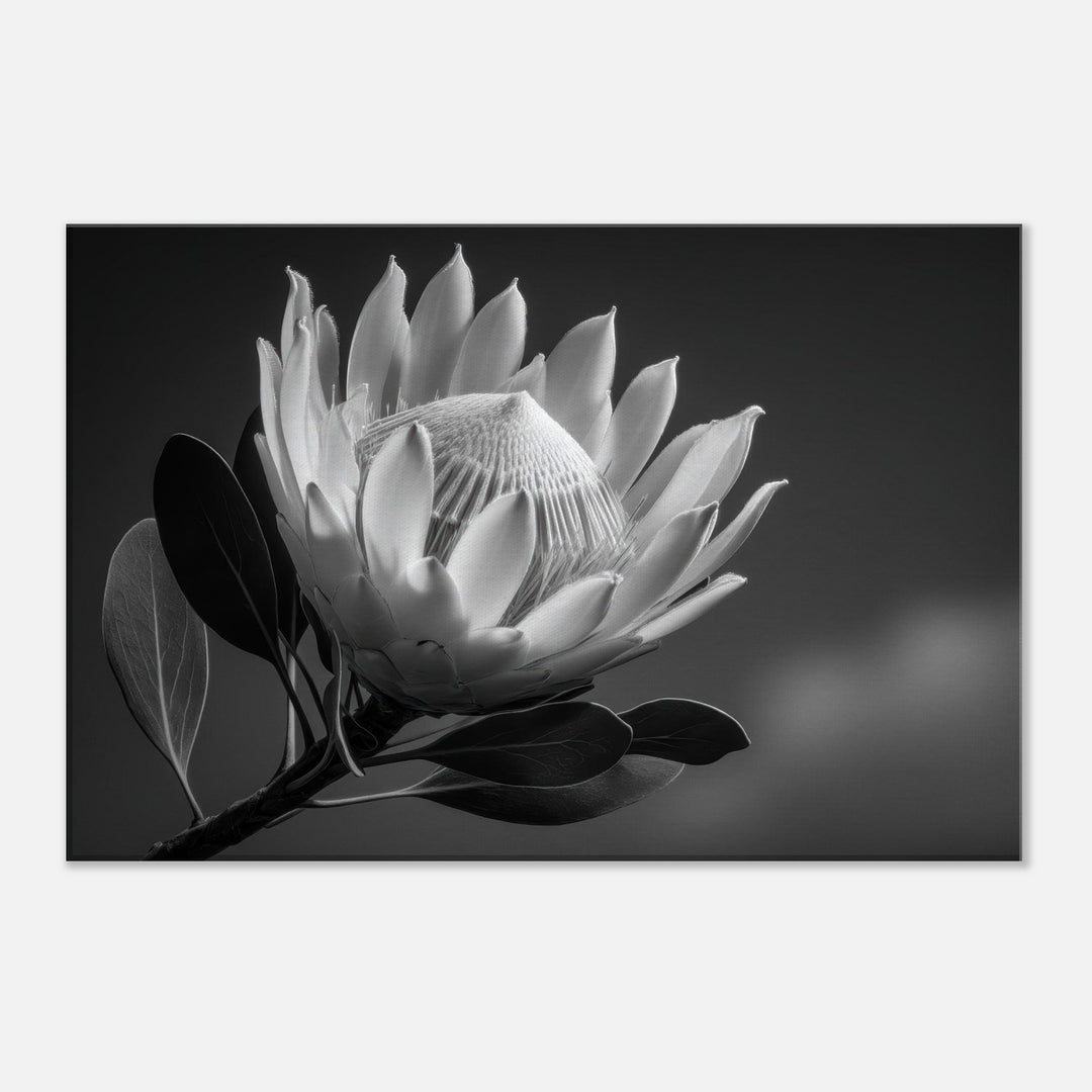 2a44f5bc-4986-48fc-91b6-81af2537dff1