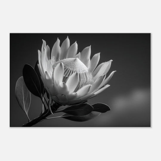 2a44f5bc-4986-48fc-91b6-81af2537dff1