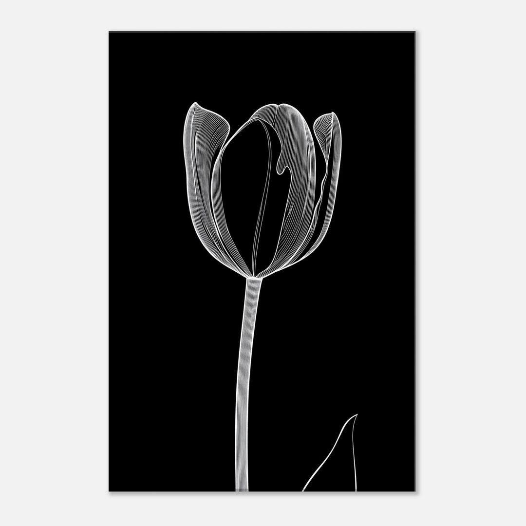 2a7eb017-413e-420f-b49b-f6959776b8dc