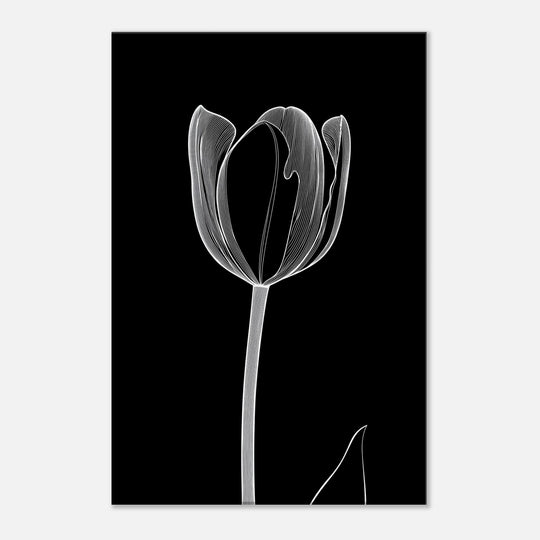 2a7eb017-413e-420f-b49b-f6959776b8dc