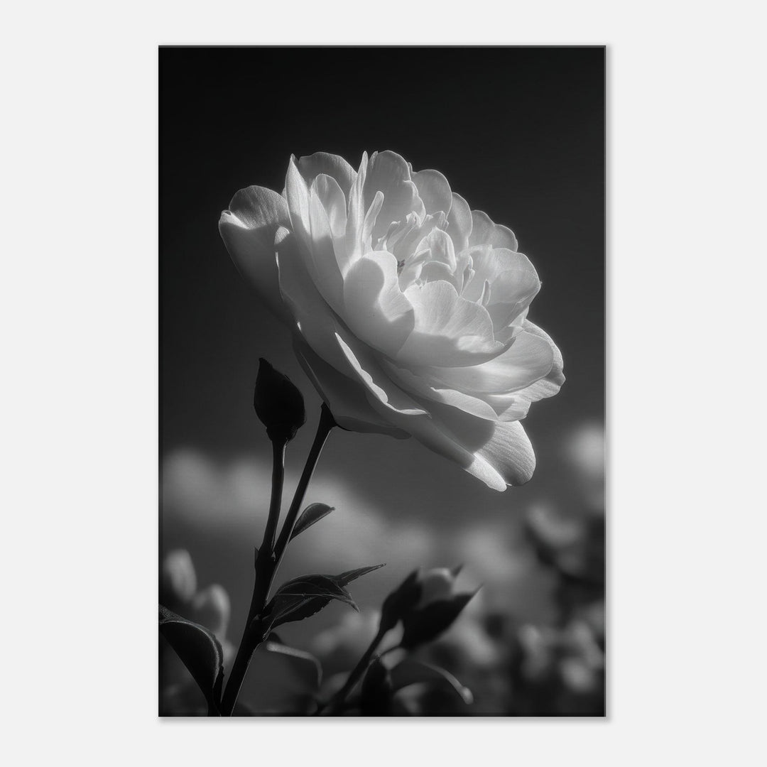 2aea0082-c8a7-46c2-8b0e-1da3cc0ab8da