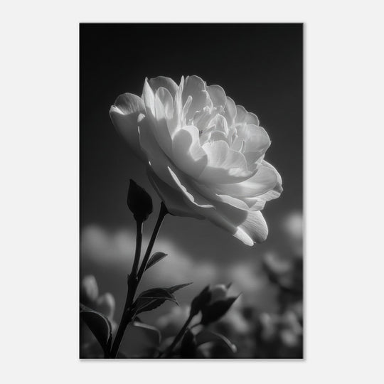 2aea0082-c8a7-46c2-8b0e-1da3cc0ab8da