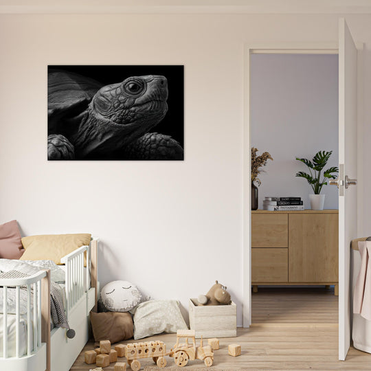 2b66dea1-8b5c-443e-9751-2b45c9255764