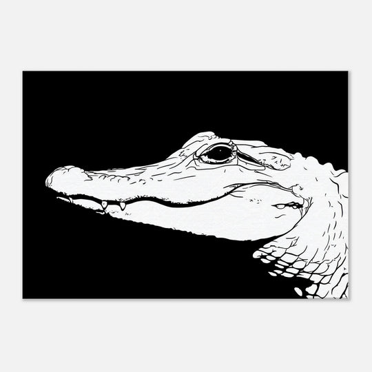 2b842e9c-48da-4c77-a3e2-855342023eb3