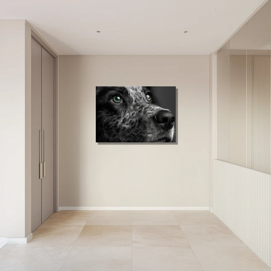 2befaa27-ee5c-4fa5-8d6a-4389e5ccb36b