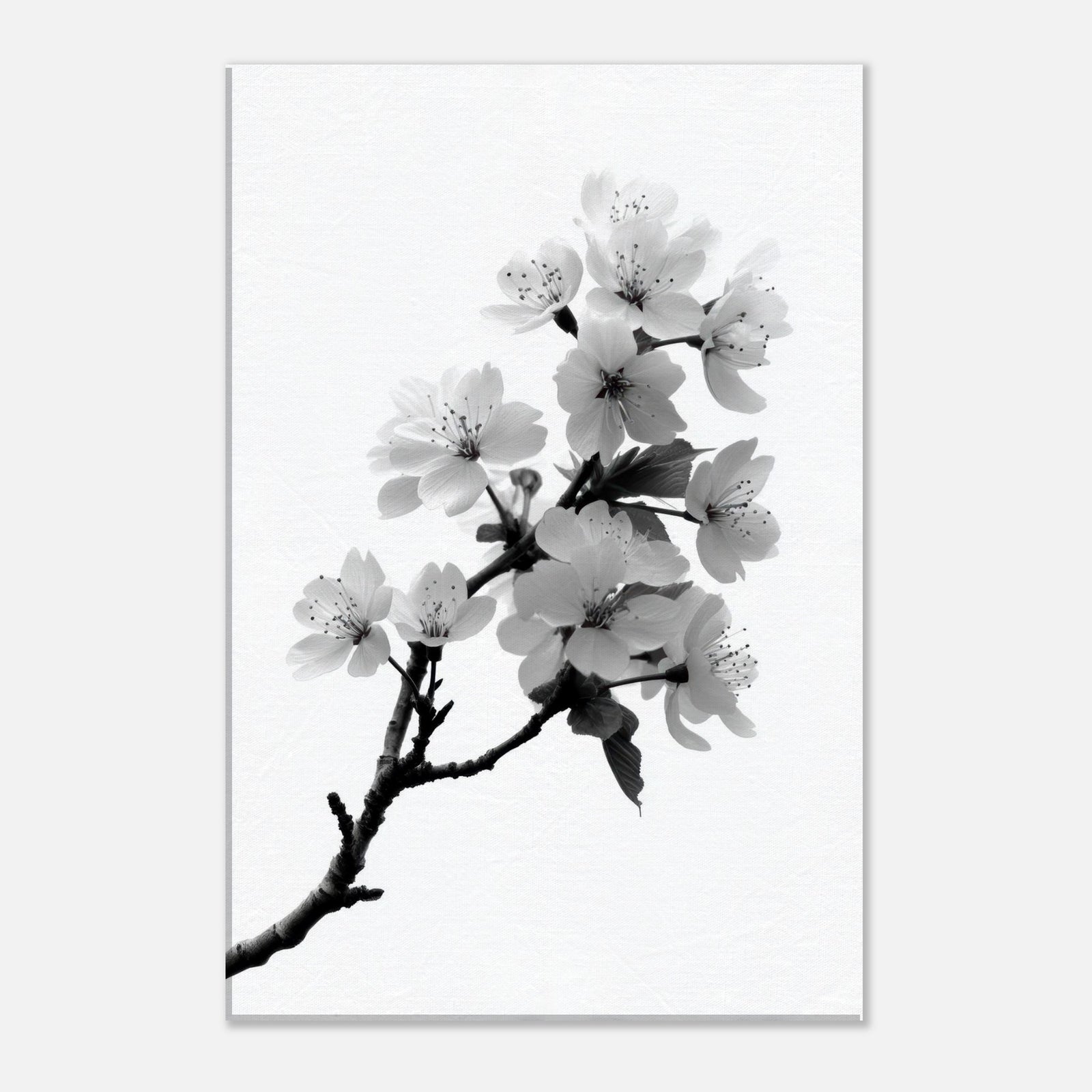 2cac123c-5d0d-4b01-a4f8-66b6ae4c37e0