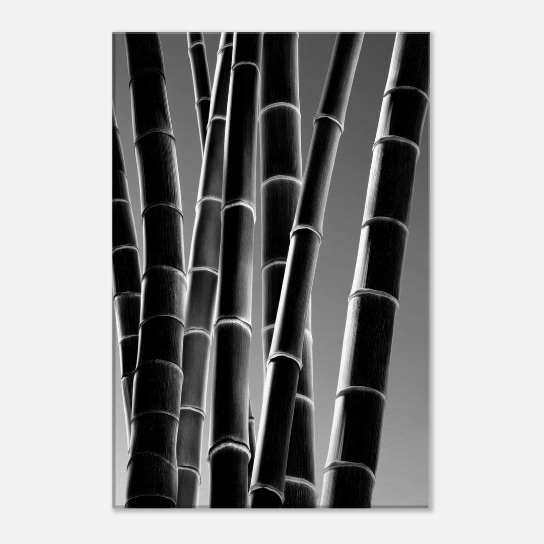 2ce3ae73-ba63-45fe-9e90-bfefc98d62a5