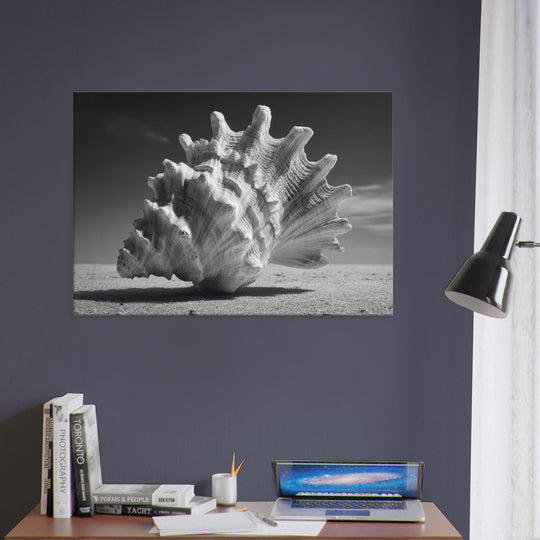 2d1086d0-afde-4e09-9596-72226343301b