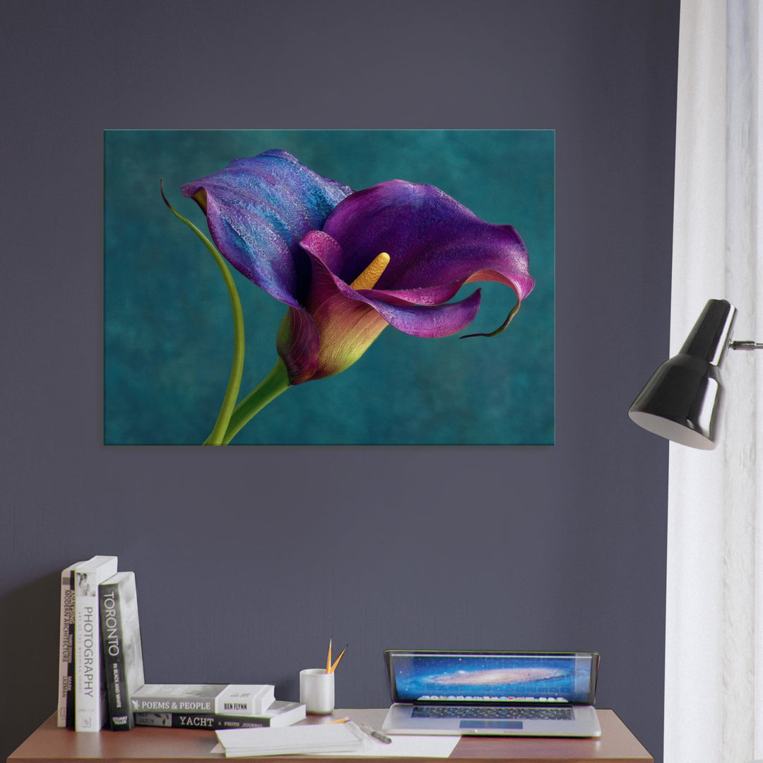 2d71cab2-57d1-4ac3-bab7-de6f8f1f9425