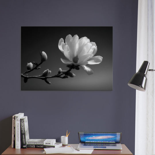 2d95fa7c-9027-4a86-b719-49a98092b0d7