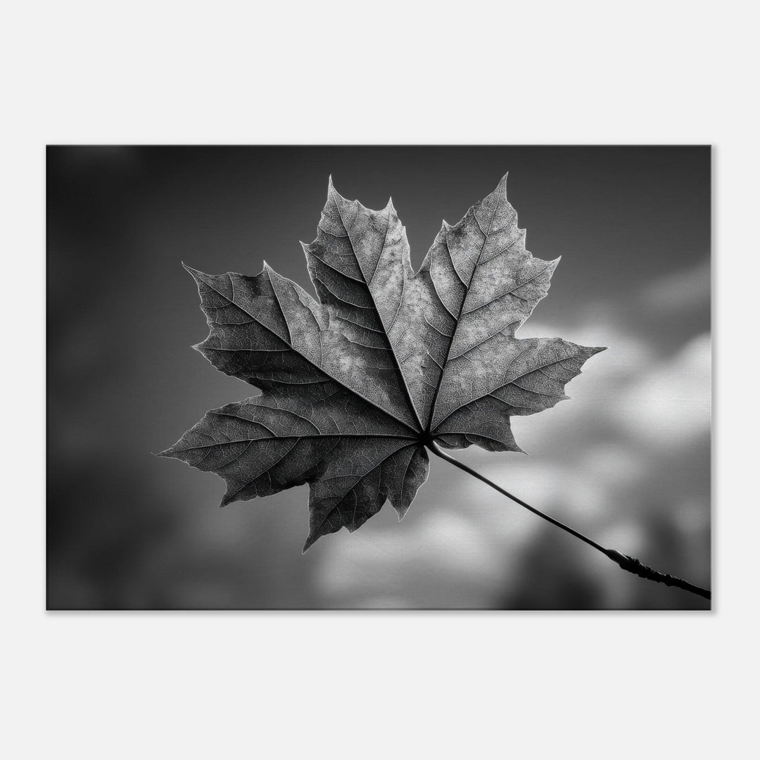 2d9bdb60-3315-4e7f-90e6-4fbbbd97f8ce