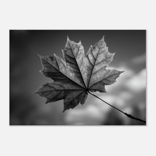 2d9bdb60-3315-4e7f-90e6-4fbbbd97f8ce